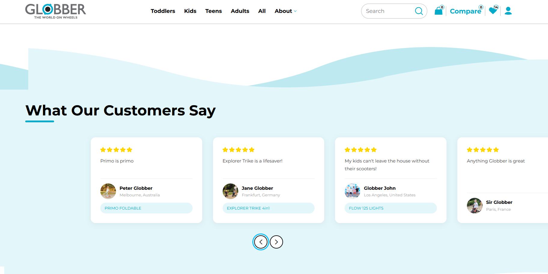 Customer Review